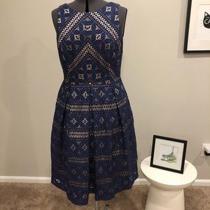 Eliza J Navy Lace Dress